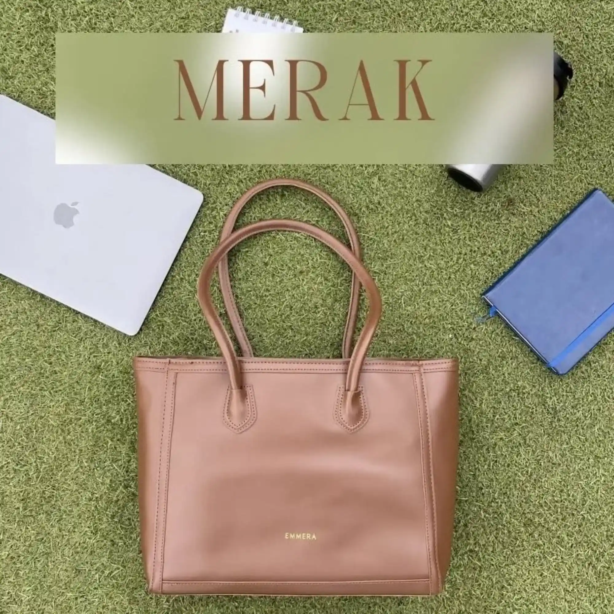 Merak (Brown)